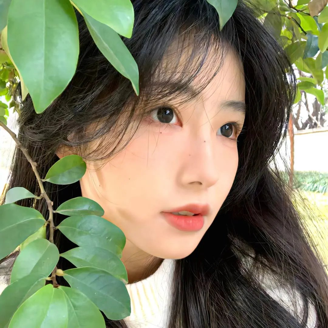 义大利种马